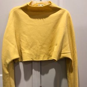Urban outfitters long sleeved cropped sweatshirt